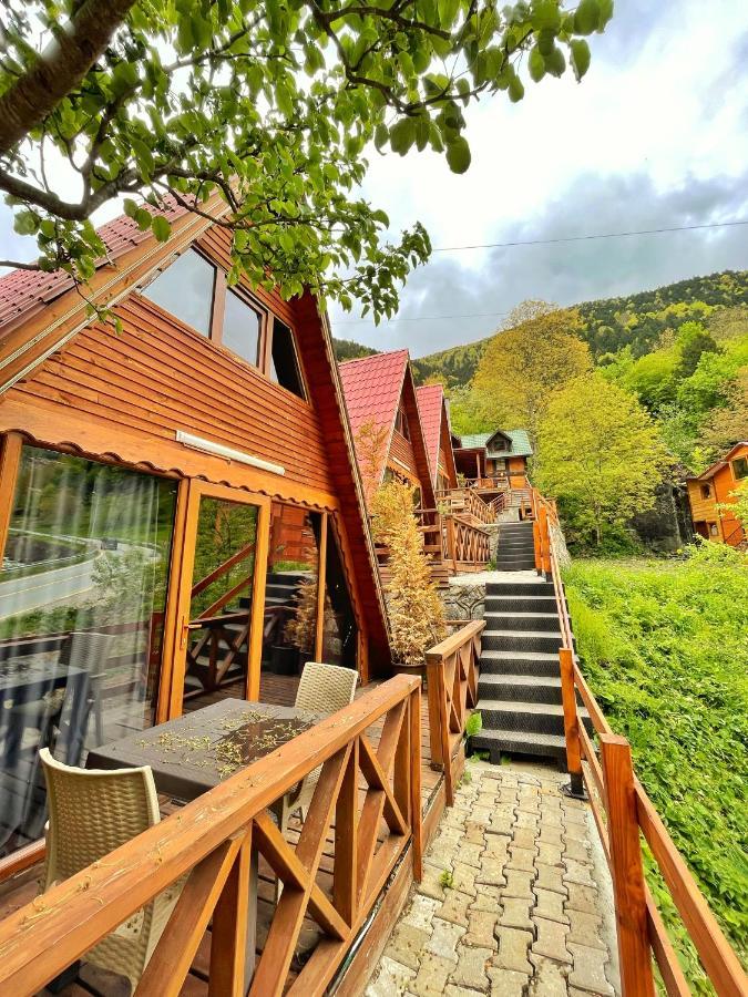 The Wooden House Uzungoel Uzungol Exterior photo
